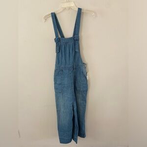 Anthropologie Pilcro Denim Cropped Overalls NWT size 28
